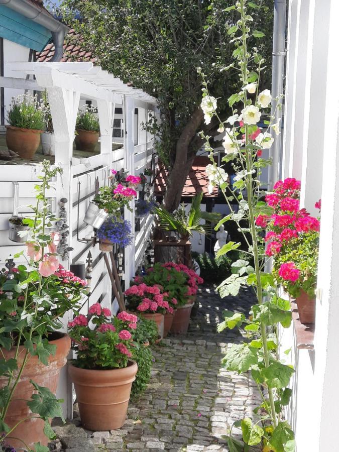 Haus Alexandrine Lägenhet Rostock Exteriör bild
